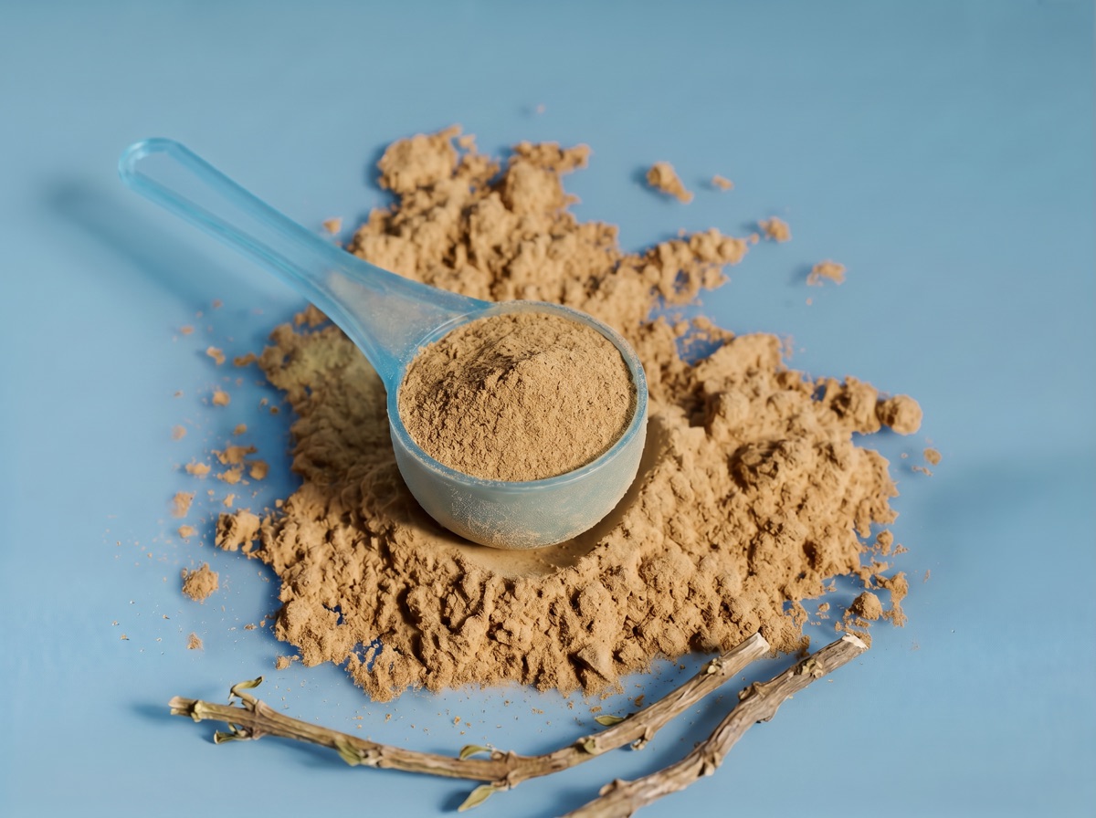 A translucent blue scoop of tan Fadogia agrestis extract powder with a dried stem at the bottom edge on a muted blue studio background.